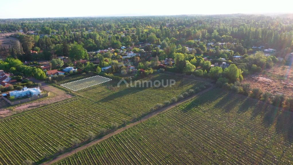 Lote en Venta en Lujan de Cuyo, Mendoza