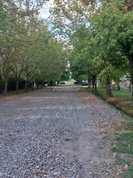 Lote en Venta en Lujan de Cuyo, Mendoza