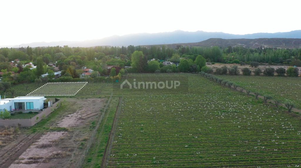 Lote en Venta en Lujan de Cuyo, Mendoza