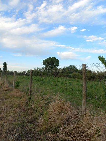 Lote en Venta en Lujan de Cuyo, Mendoza