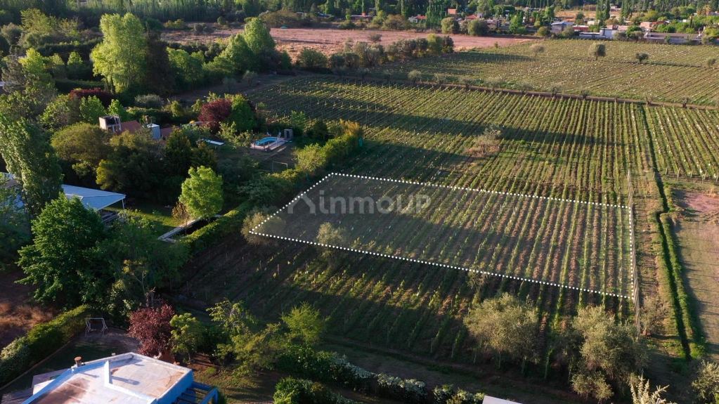 Lote en Venta en Lujan de Cuyo, Mendoza