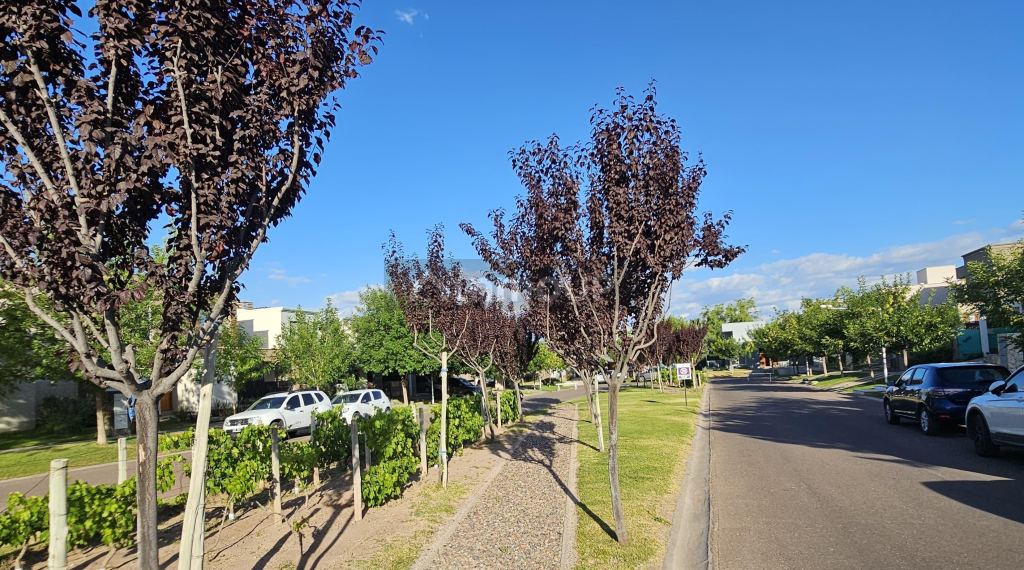 Lote en Venta en Maipu, Mendoza