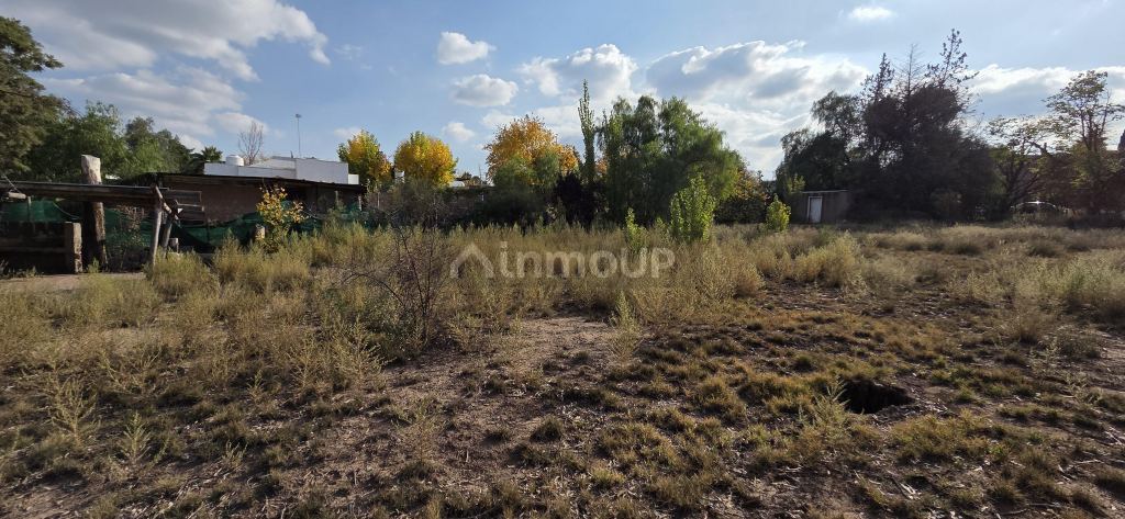 Lote en Venta en Lujan de Cuyo, Mendoza
