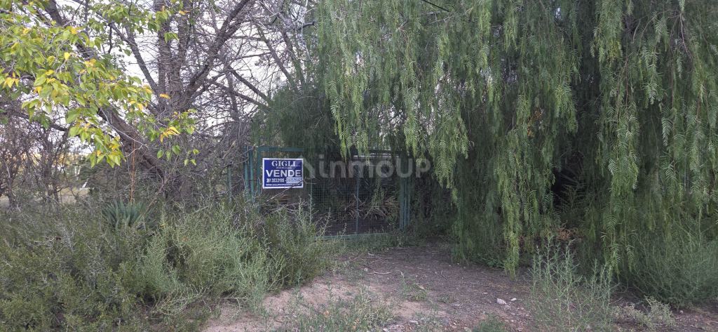 Lote en Venta en Lujan de Cuyo, Mendoza