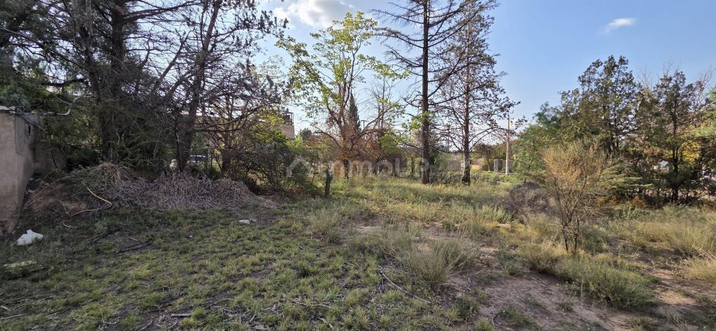 Lote en Venta en Lujan de Cuyo, Mendoza