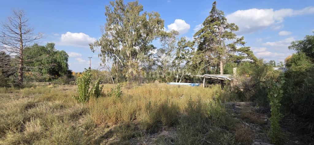 Lote en Venta en Lujan de Cuyo, Mendoza