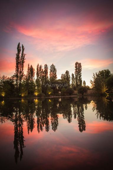 Finca en Venta en Lujan de Cuyo, Mendoza