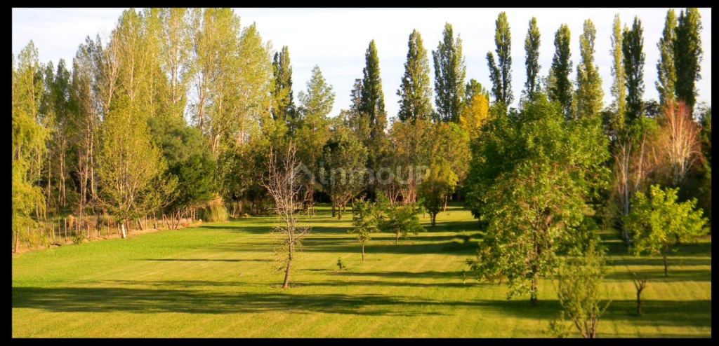 Finca en Venta en Lujan de Cuyo, Mendoza