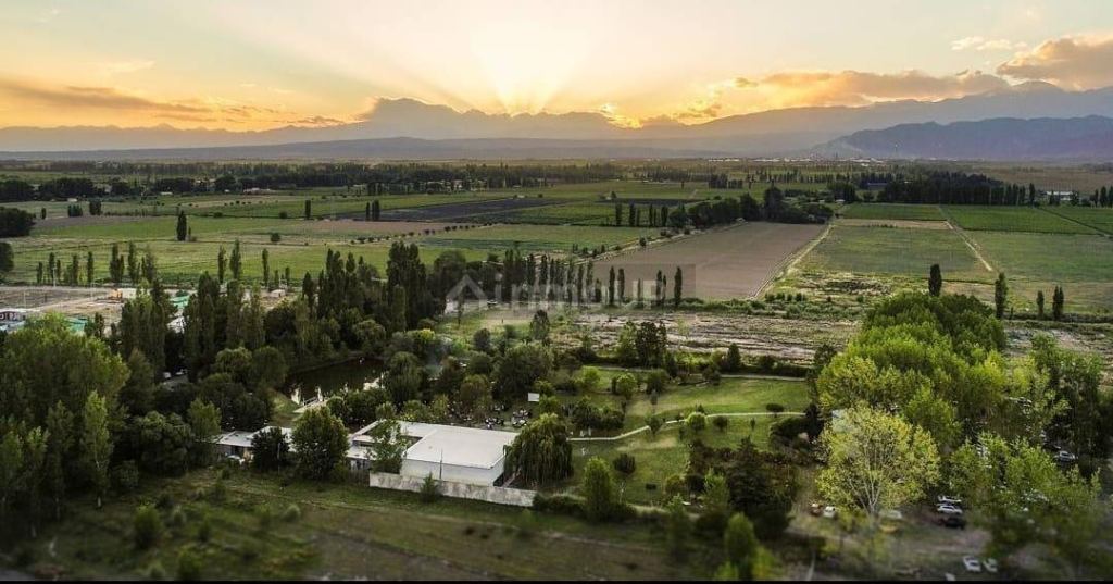 Finca en Venta en Lujan de Cuyo, Mendoza