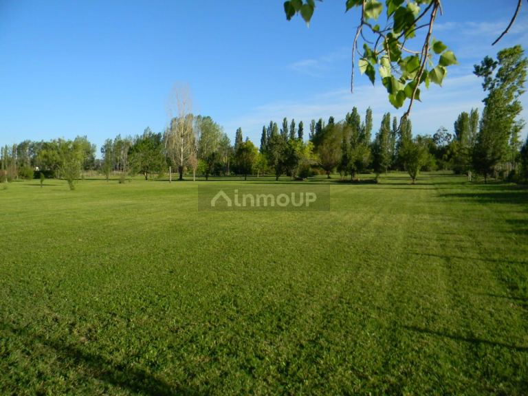 Finca en Venta en Lujan de Cuyo, Mendoza