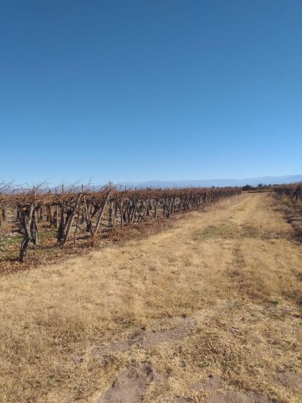 Finca en Venta en San Martin, San Juan