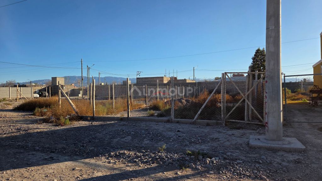 Rawson Medalla Milagrosa Mzna. E, Lote 11
