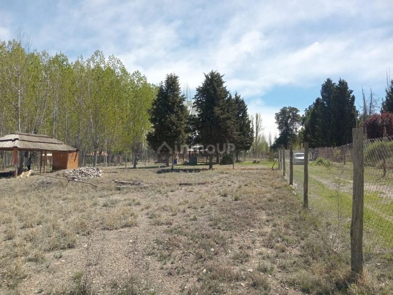 Lujan de Cuyo RUTA PROV. 16