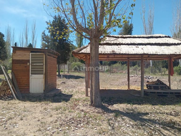 Lujan de Cuyo RUTA PROV. 16