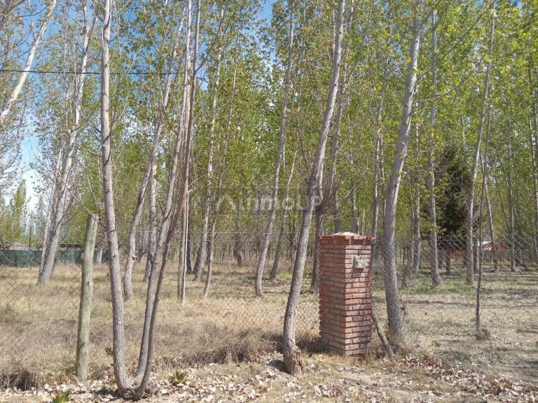 Lote en Venta en Lujan de Cuyo, Mendoza - USD 12.500 | Inmoup - 6