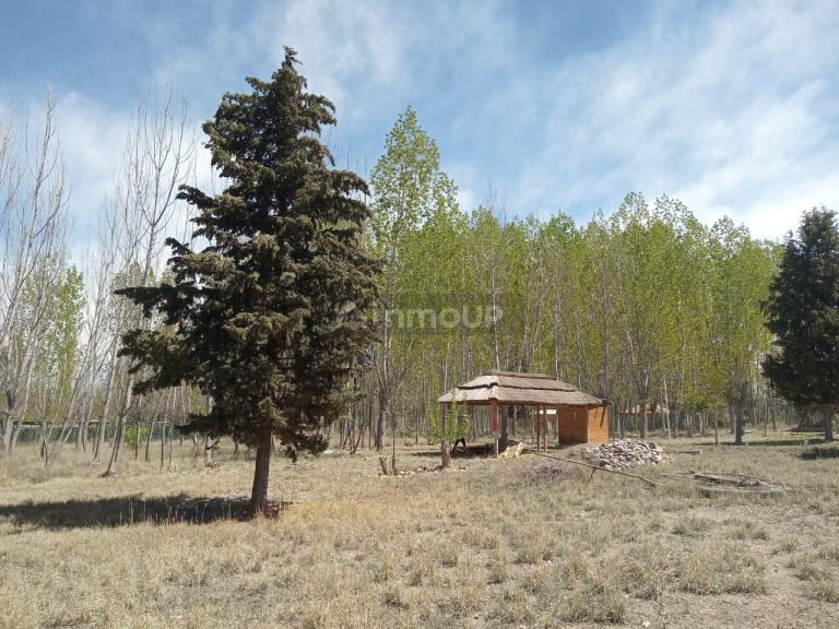 Lote en Venta en Lujan de Cuyo, Mendoza - USD 12.500 | Inmoup - 8