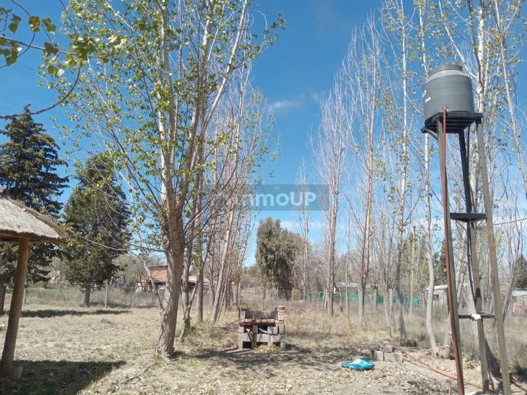 Lujan de Cuyo RUTA PROV. 16
