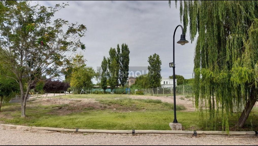 Lote en Venta en Lujan de Cuyo, Mendoza