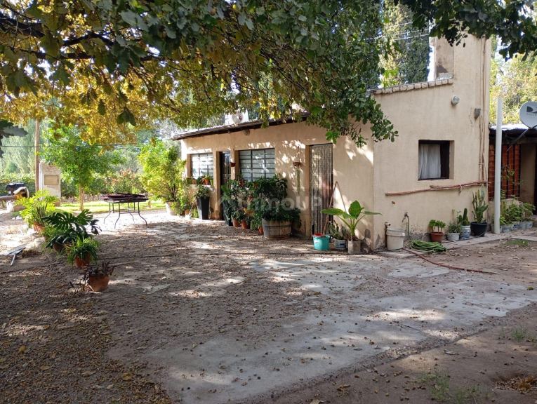 Viñedo en Venta en Junin, Mendoza
