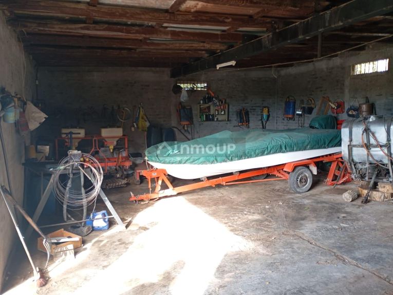 Viñedo en Venta en Junin, Mendoza