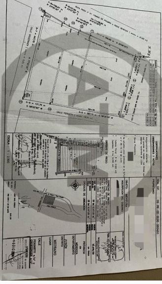 Viñedo en Venta en Junin, Mendoza