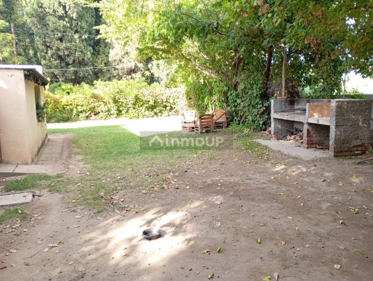 Viñedo en Venta en Junin, Mendoza