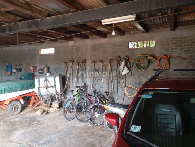 Viñedo en Venta en Junin, Mendoza