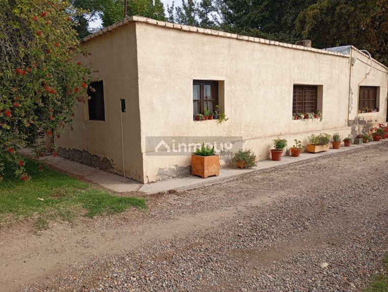 Viñedo en Venta en Junin, Mendoza