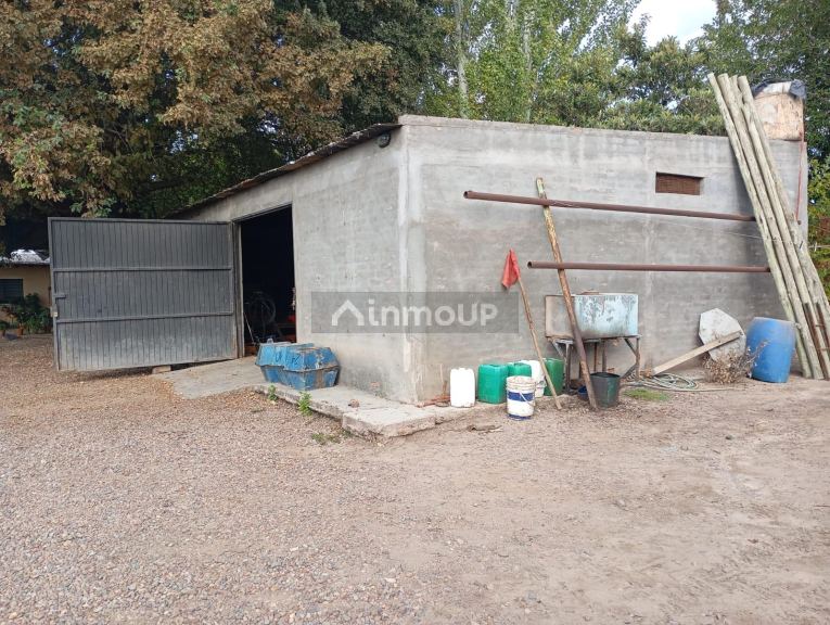 Viñedo en Venta en Junin, Mendoza