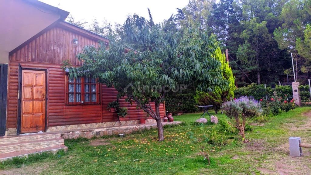 Departamento en Alquiler en Lujan de Cuyo, Mendoza