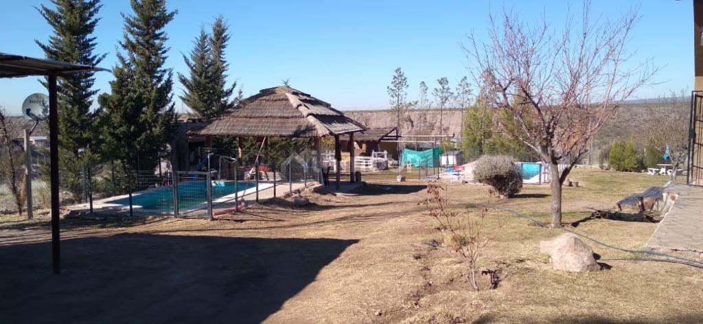 Departamento en Alquiler en Lujan de Cuyo, Mendoza