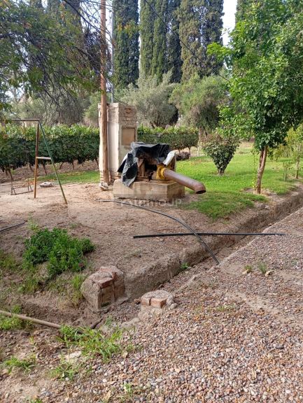 Finca en Venta en Junin, Mendoza