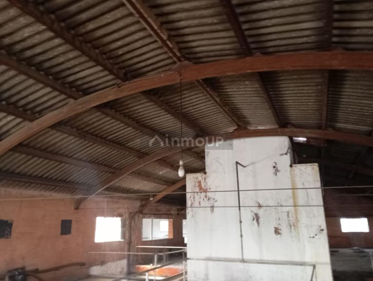 Bodega con Viñedo en Venta en Guaymallen, Mendoza