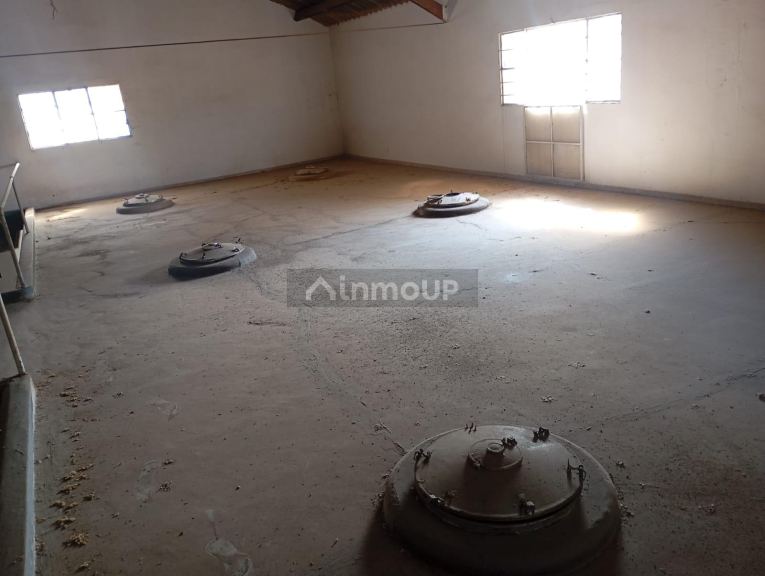 Bodega con Viñedo en Venta en Guaymallen, Mendoza