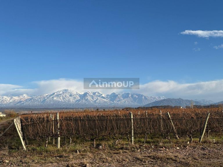 Campo en Venta en Lujan de Cuyo, Mendoza