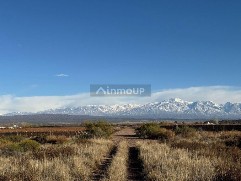 Campo en Venta en Lujan de Cuyo, Mendoza