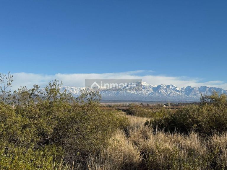 Campo en Venta en Lujan de Cuyo, Mendoza