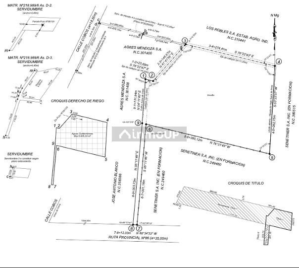 Campo en Venta en Lujan de Cuyo, Mendoza