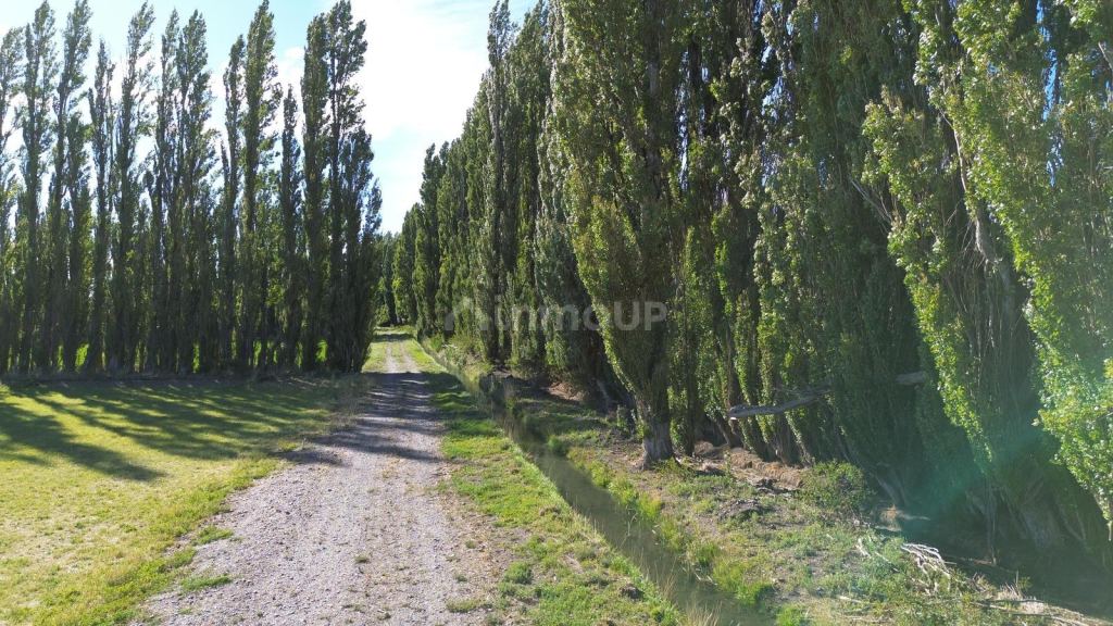 Finca en Venta en Sarmiento, Chubut