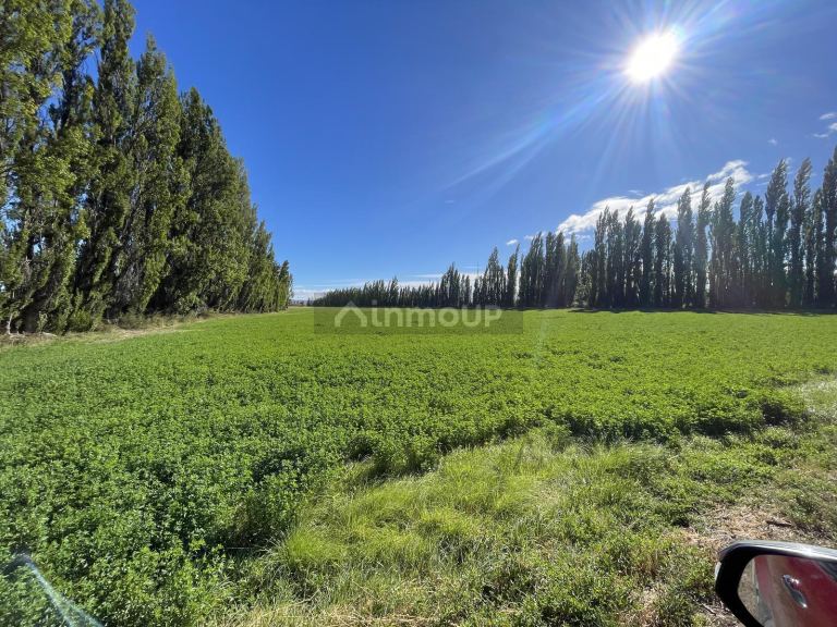 Finca en Venta en Sarmiento, Chubut