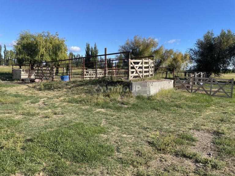 Finca en Venta en Sarmiento, Chubut