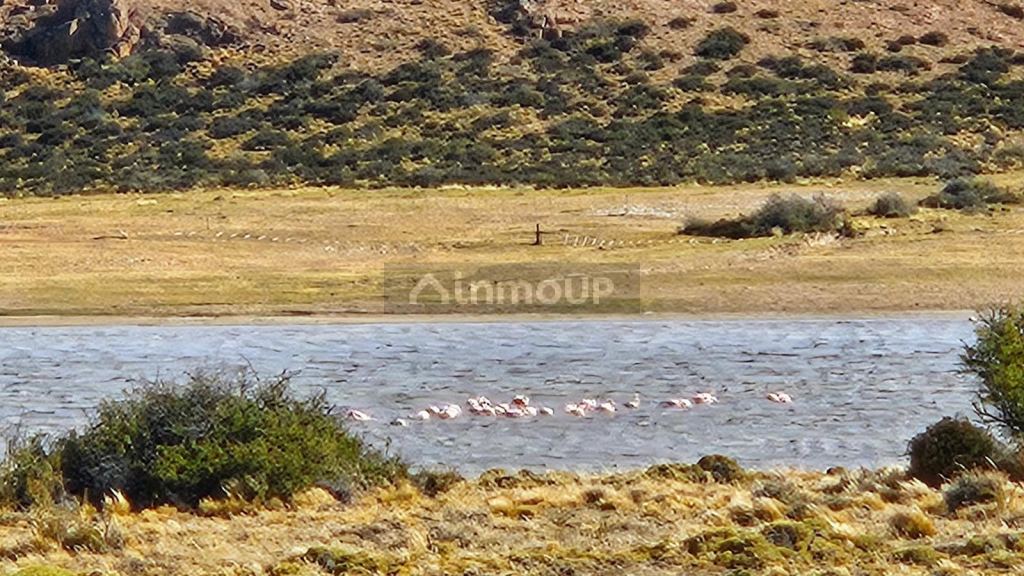Campo en Venta en Rio Chico, Santa Cruz