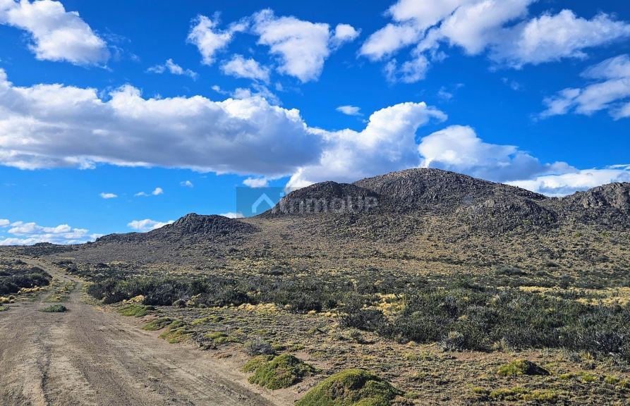 Campo en Venta en Rio Chico, Santa Cruz