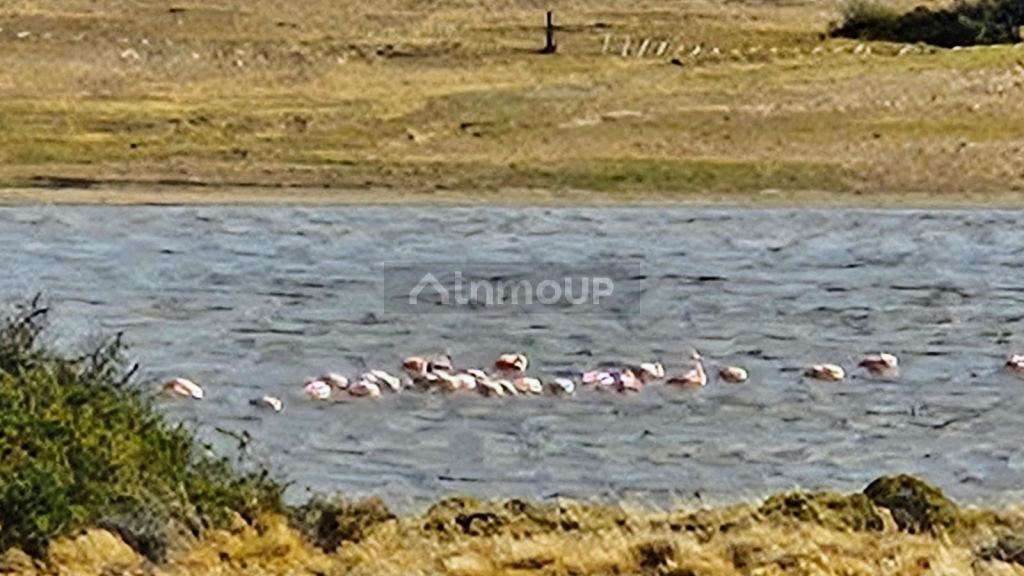 Campo en Venta en Rio Chico, Santa Cruz