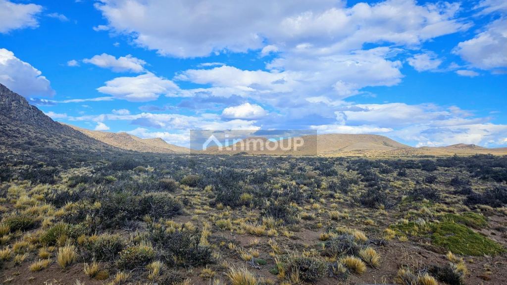 Campo en Venta en Rio Chico, Santa Cruz