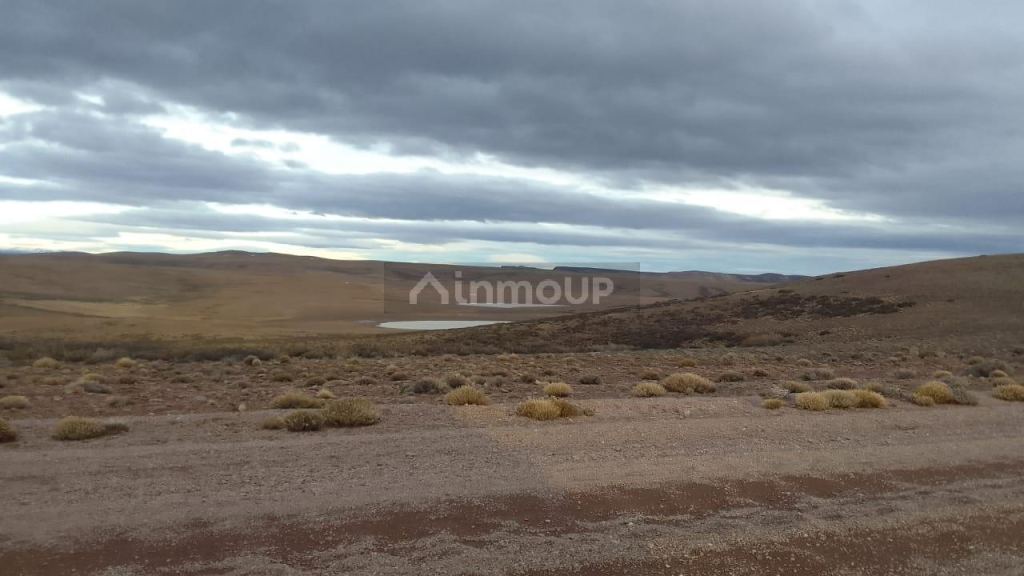 Campo en Venta en Deseado, Santa Cruz