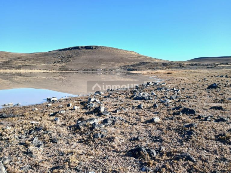 Campo en Venta en Deseado, Santa Cruz