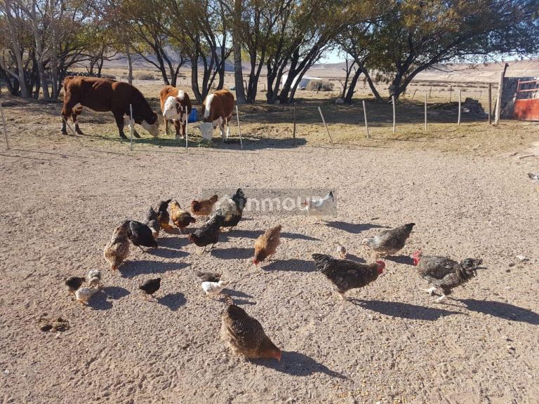 Campo en Venta en Deseado, Santa Cruz