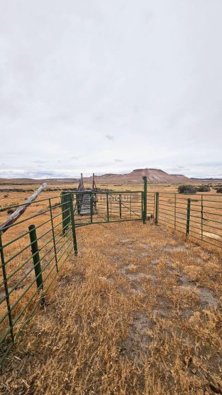 Campo en Venta en Deseado, Santa Cruz