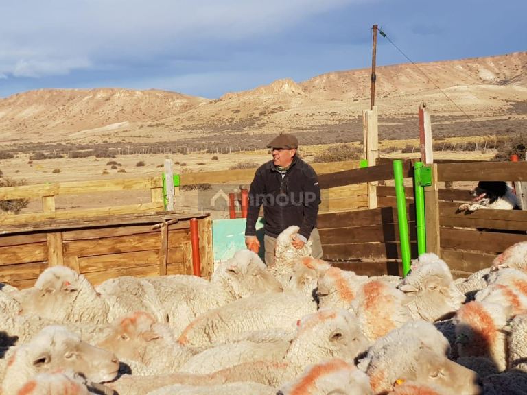 Campo en Venta en Deseado, Santa Cruz